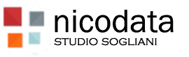 NICODATA SAS Logo